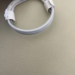 Apple 充電器　純正