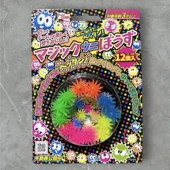 新品　SNS話題　入手困難新品未開封マジックウニぼうず12個入くせになる感触⑵のサムネイル