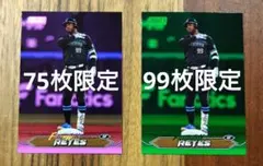 Topps2024 北海道日本ハムファイターズ F・レイエス パラレルカード2枚