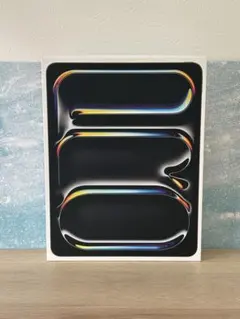 おくおく様専用】iPadProM4 13インチ512GB黒+PencilPro - Apple iPad