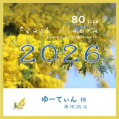 ゆーてぃん様専用商品