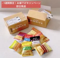 ミニチュアフード　ミニチュア　ポテチ