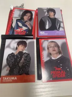 THE RAMPAGE PRIMAL SPIDER フォトカセット