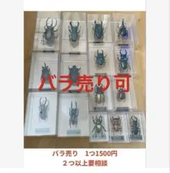 2026年最新】野鳥の世界 デアゴスティーニの人気アイテム - メルカリ