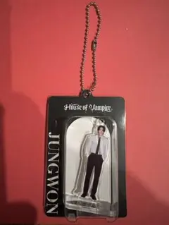 ENHYPEN ジョンウォンHouse of vampire 信頼　アクキー