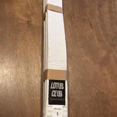 Item thumbnail for item dd56a4d1-a915-42bb-b2a9-f53f8f655338