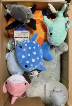 Item thumbnail for item e3edd403-2432-47ae-90f1-0e2d61e2df8c