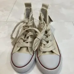 Item thumbnail for item 4ed81dce-a96e-4e93-ae0a-a015133d73bc