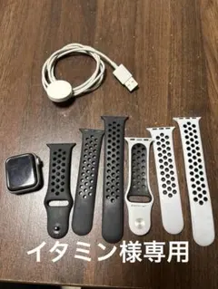 Apple WatchSEナイキモデル(第1世代)本体 充電ケーブル付き