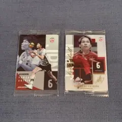 男子バレー日本代表 ツインウエハース 2026 山内晶大