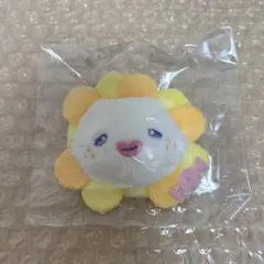 JOCHUM シークレットブローチ Bira 佐藤景瑚