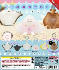 エイの干物 ★ エイの裏側かわいいマーカーチャーム ガチャ