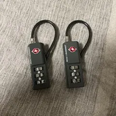 Item thumbnail for item 526f631d-cda8-48b0-bead-2fc722c13542