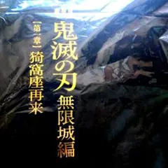 【初回限定版最安値級】鬼滅の刃 無限城編第一章 初回限定版