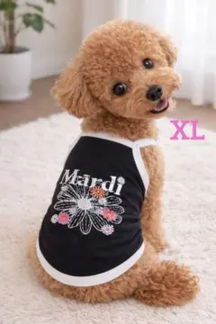 Item thumbnail for item 611a3c3a-f516-4b79-b13b-668e7ab979be