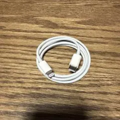 Apple Lightningケーブル usbc to lightning 純正