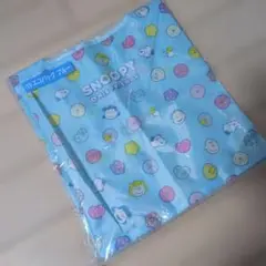 Item thumbnail for item b093a094-7eab-435f-8506-d842f3cd3d74