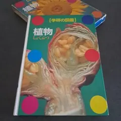 Item thumbnail for item 222ef656-bc29-4c2e-bd6d-583b0e64856e