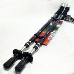 Item thumbnail for item a90a55d7-54c3-4dde-912c-370fb3d511e3