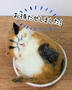 ジュンコ様専用です(ΦωΦ)のサムネイル