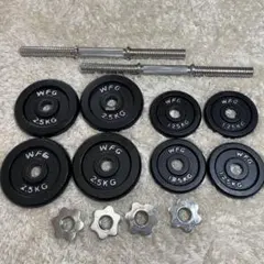 WFG ワイルドフィット ダンベルプレート 10kg 22lb セット - メルカリ