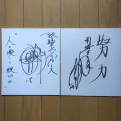赤星憲広選手 直筆サイン色紙 阪神タイガース - メルカリ