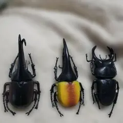 昆虫フィギュア 3種セット カブトムシ クワガタ