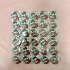 僕のヒーローアカデミア ヒロアカ 緑谷出久 十傑 缶バッジ JF2025 30点