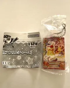 アイカツ！ だれでもアイドル活動アクリルチャーム3 トロピカルバスケット