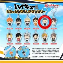ハイキュー!! ストラップ 番号5 田中龍之介