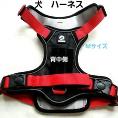 Item thumbnail for item 0d11a8a9-21b5-4889-8e42-42750556d52a