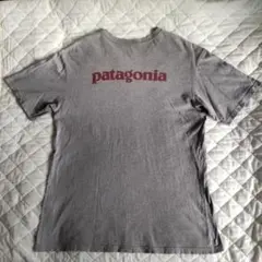 patagonia グレーTシャツORGANIC COTTON100% ◀Ｌ▶
