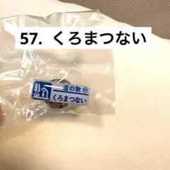 北海道　道の駅　ピンズ　くろまつない