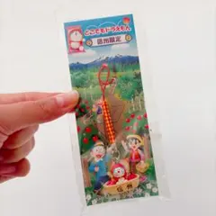 どこでも 도라에몽 도라에몽 信州限定 ストラップ りんご 신품 미사용