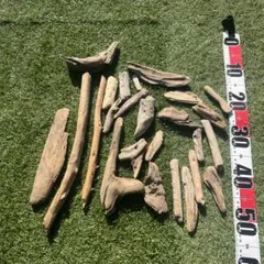 水槽用流木セット 15個以上