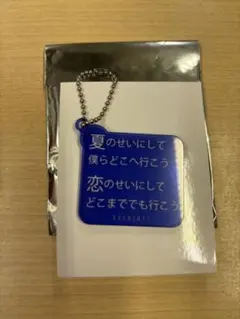 RADWIMPS 激レアキーホルダー 5個セット RADWIMPS 激レアキーホルダー 5個セット