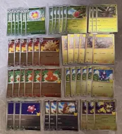 ポケモンカード 30th エーフィ＆ブラッキーデッキパーツ48枚セット