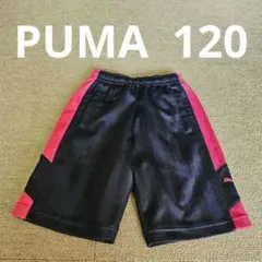 PUMA プーマ ジャージ ハーフパンツ ピンク 120