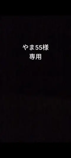 【やま55様専用】スノーピーク　ヘキサイーズ1