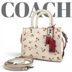 COACH Rogue 25 Japan Limited Apple Print - メルカリ