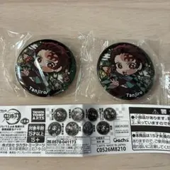ぴた！でふぉめ鬼滅の刃無限城編缶バッジ　炭治郎