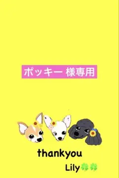 ポッキー 様専用 ꒡̈⃝Lily꒡̈⃝犬服ハンドメイド