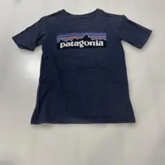 パタゴニア Tシャツのサムネイル