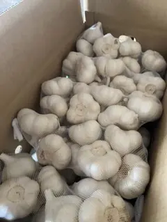 新物 青森県にんにく5Kg 2L - メルカリ