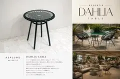 展示品】アスプルンド「ダリア」 ラウンジチェア ガーデンチェア 約5,6