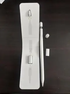 Apple Pencil 第1世代（付属品完備・予備チップ付）