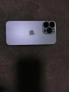 【超美品】iphone 15promax 256GB simフリー