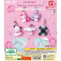 めじるしアクセサリー サンリオキャラクターズ～エモきゅん～ 4点セット