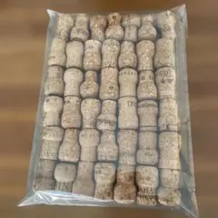 Item thumbnail for item b01703bf-f6f1-4fef-8bac-bd23da1edef9