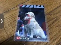 プロ野球チップス 広島東洋カープ ミッキー